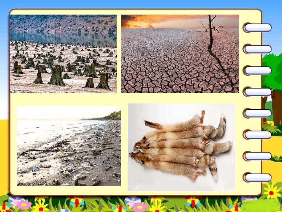 12-我的环保小搭档-(3)_第3页