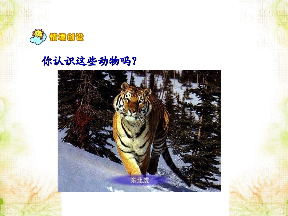 《加法》课件_第2页