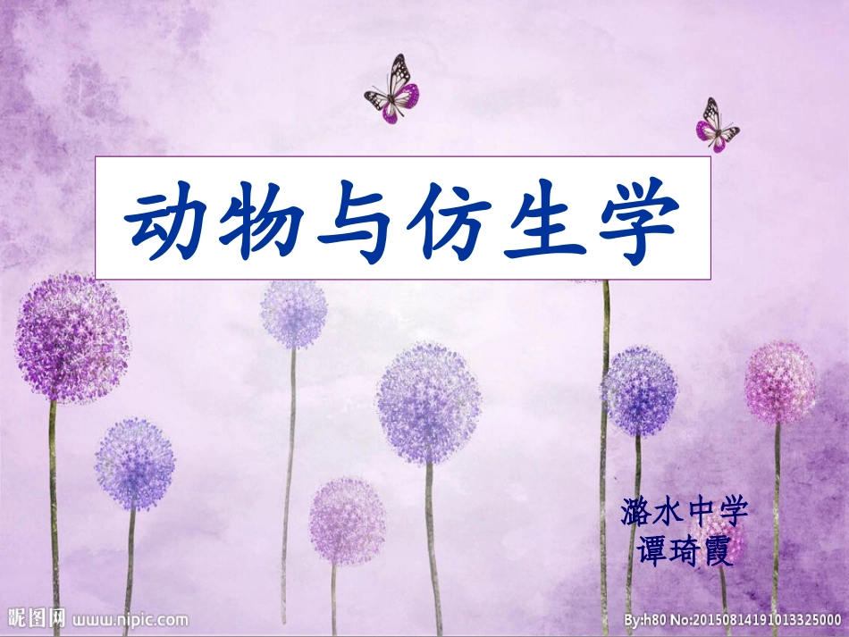 科学·技术·社会-动物与仿生_第1页