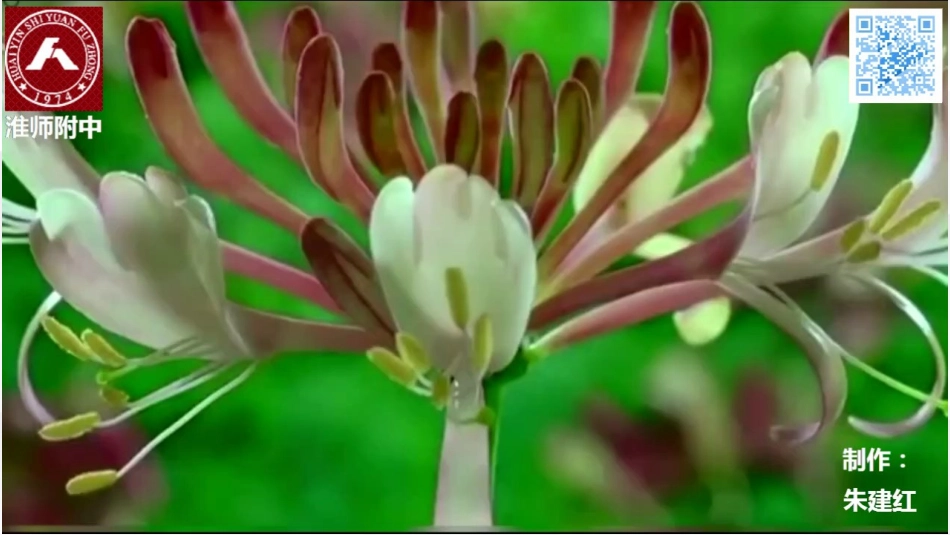 第2节人体的组成_第1页