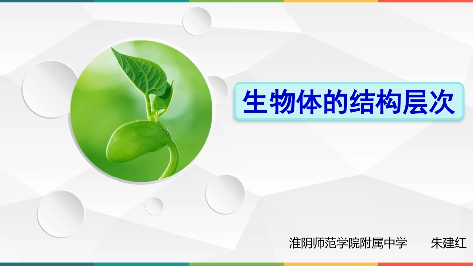 第2节人体的组成_第2页