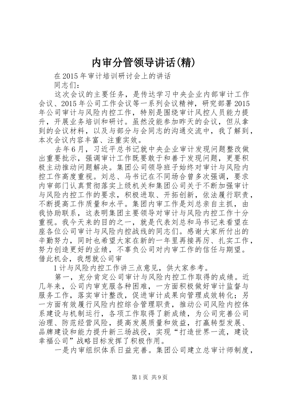 内审分管领导讲话发言(精)_第1页