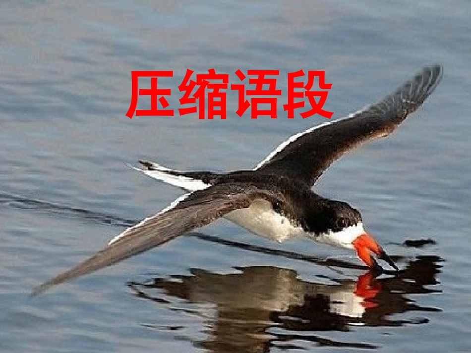 高考语言运用——压缩语段_第1页