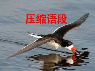 高考语言运用——压缩语段