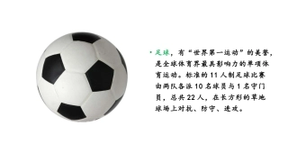 19-足球自述