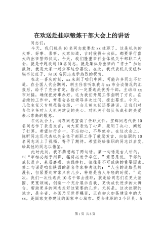 在欢送赴挂职锻炼干部大会上的讲话发言