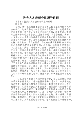 拔尖人才表彰会议领导讲话发言
