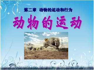 5.2.1动物的运动-(1)