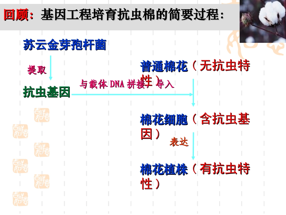 1.4-蛋白质工程的崛起-(3)_第2页