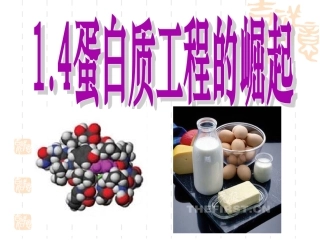 1.4-蛋白质工程的崛起-(3)