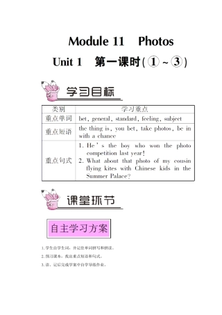 九年级英语上册 Module 11 Photos Unit 1 He's the boy who won the photo competition last year第一课时教案（新版）外研版-（新版）外研版初中九年级上册英语教案