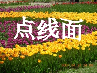 第二课绚丽点线面