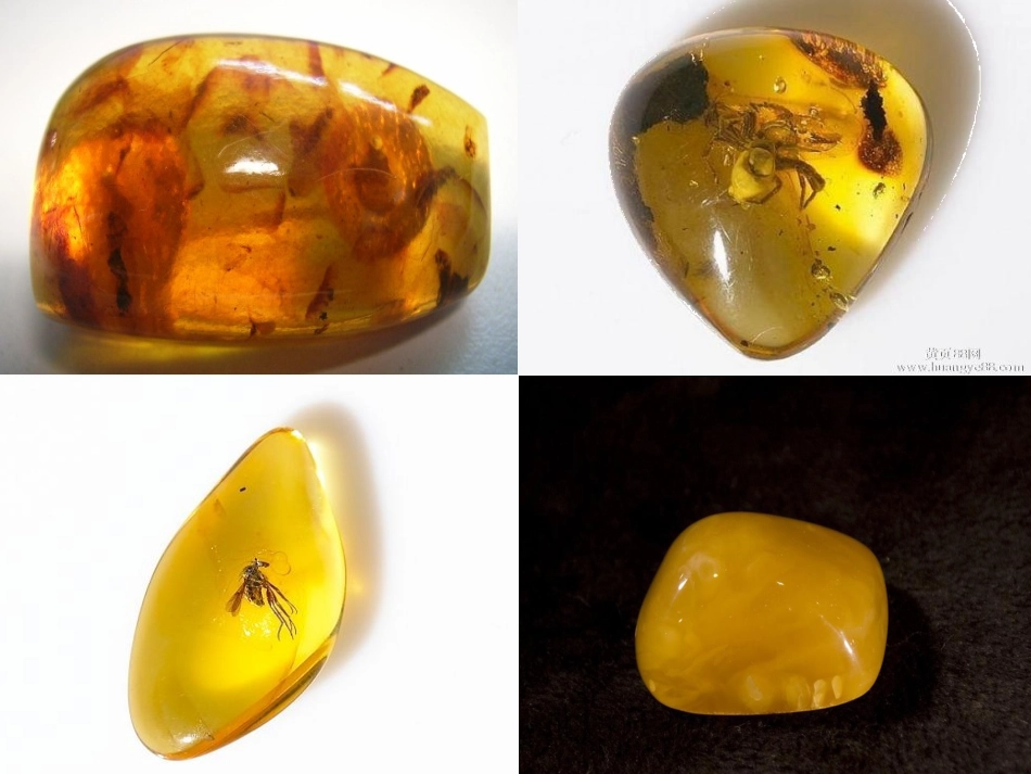 21奇异的琥珀_第3页