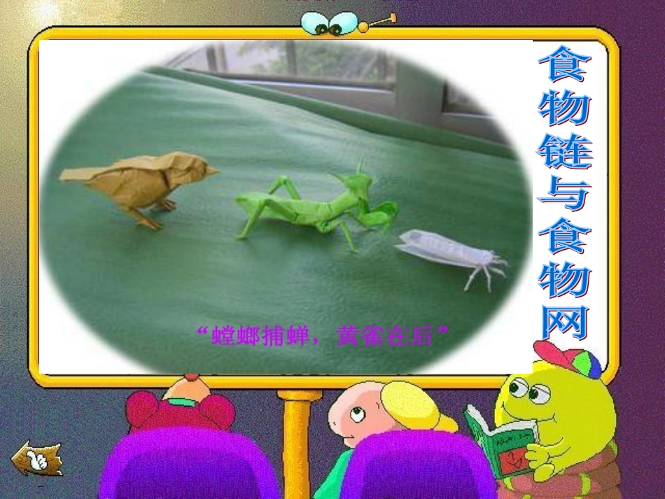 食物链与食物网_第1页