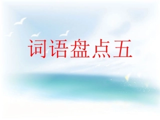 7仙人掌王国