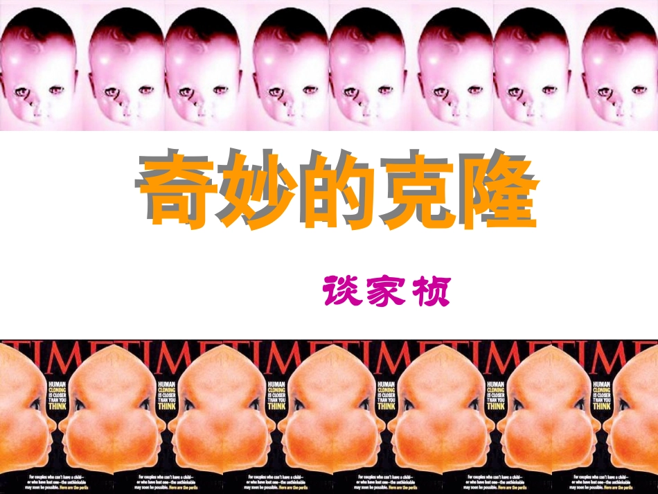 恐龙无处不有_第3页