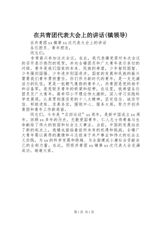 在共青团代表大会上的讲话发言(镇领导)