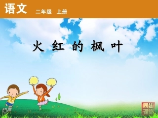 火红的枫叶2