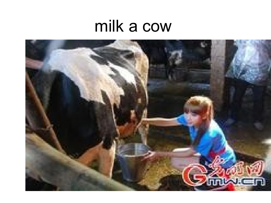 SectionA2d—3c-(5)_第3页