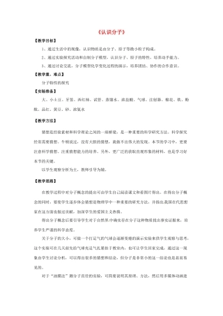 八年级物理下册《10.1 认识分子》教案 粤教沪版-粤教沪版初中八年级下册物理教案