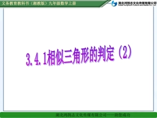 3.4.1相似三角形的判定