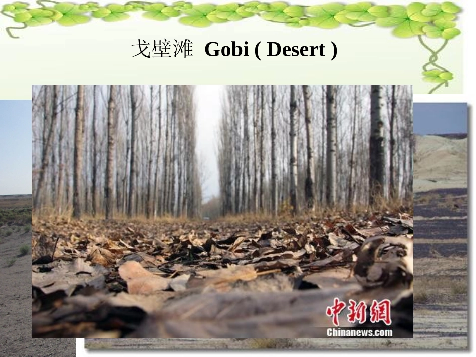 SectionD-(11)_第2页