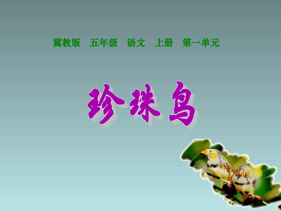 《珍珠鸟》课件3-_第1页