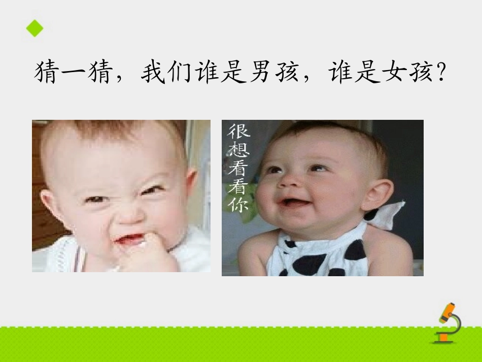 第三节人体概述-(2)_第2页