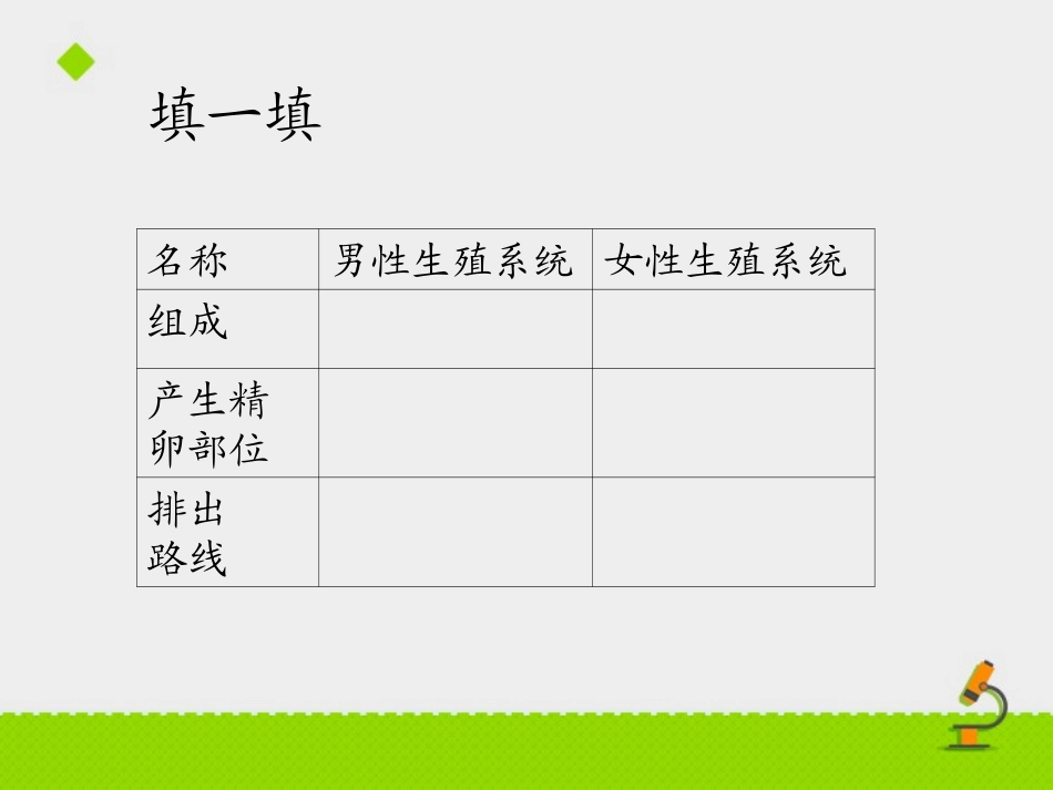 第三节人体概述-(2)_第3页