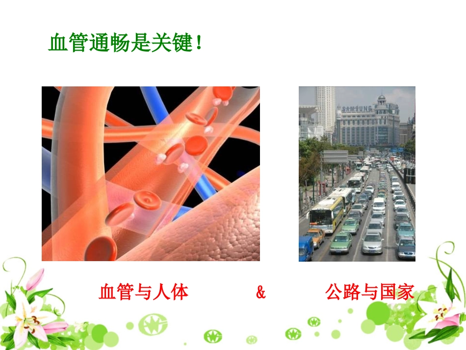 与生物学有关的职业-心血管病与心血管医生-(4)_第3页