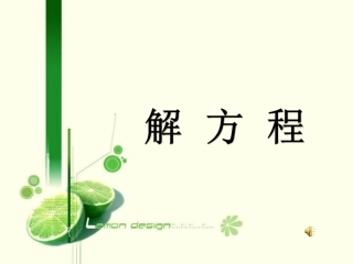 解方程-(4)