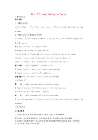九年级英语全册 Unit5 It must belong to Carla（第5课时）教案 人教新目标版