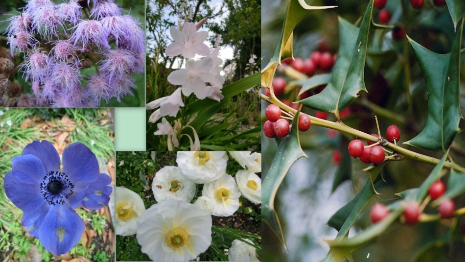 3植物妈妈有办法_第3页