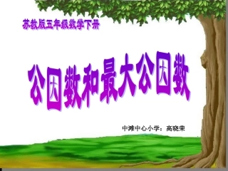 8.公因数和最大公因数练习