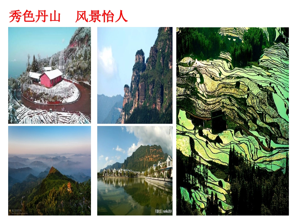 图形的放大与缩小_第1页