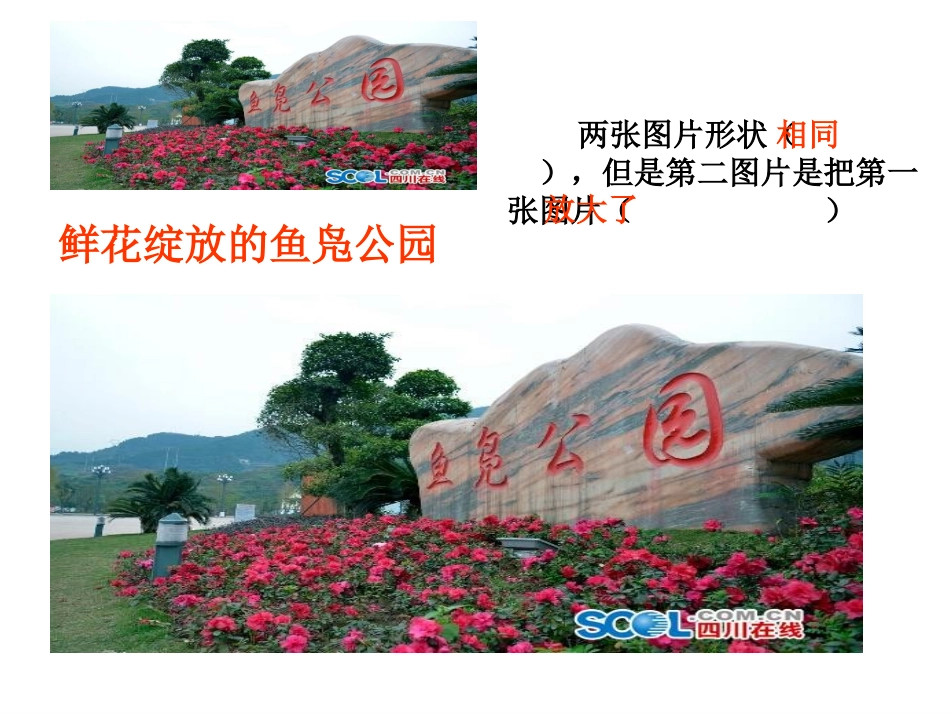 图形的放大与缩小_第3页