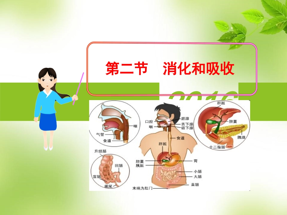 第二节--消化和吸收_第1页