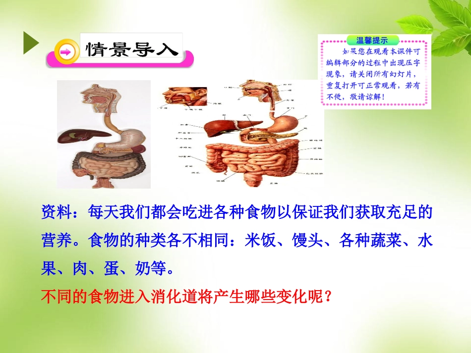 第二节--消化和吸收_第2页