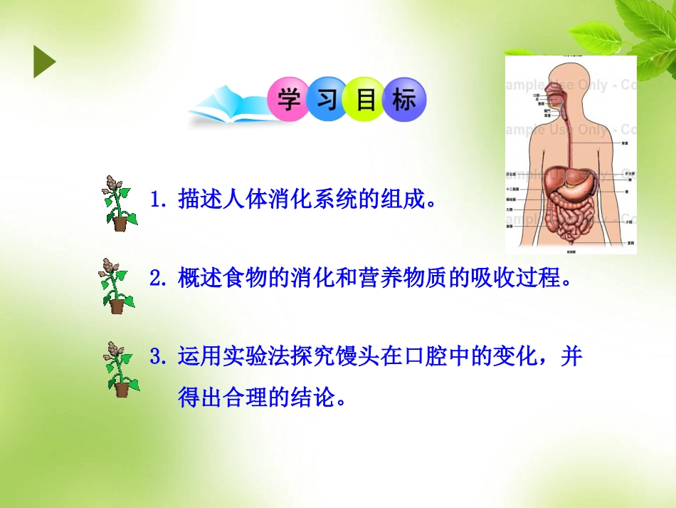 第二节--消化和吸收_第3页