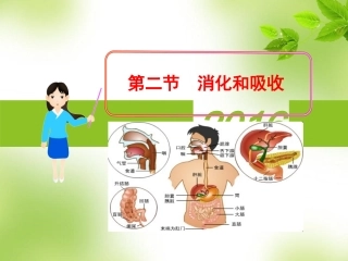第二节--消化和吸收