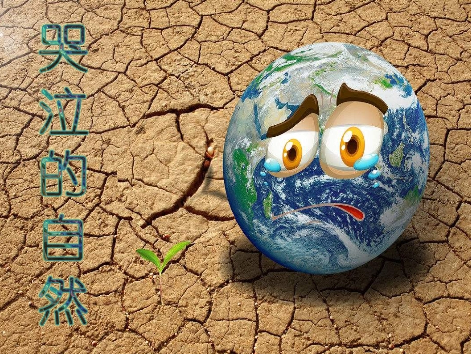第二课哭泣的自然_第2页