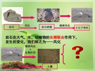 土壤里有什么修改版87