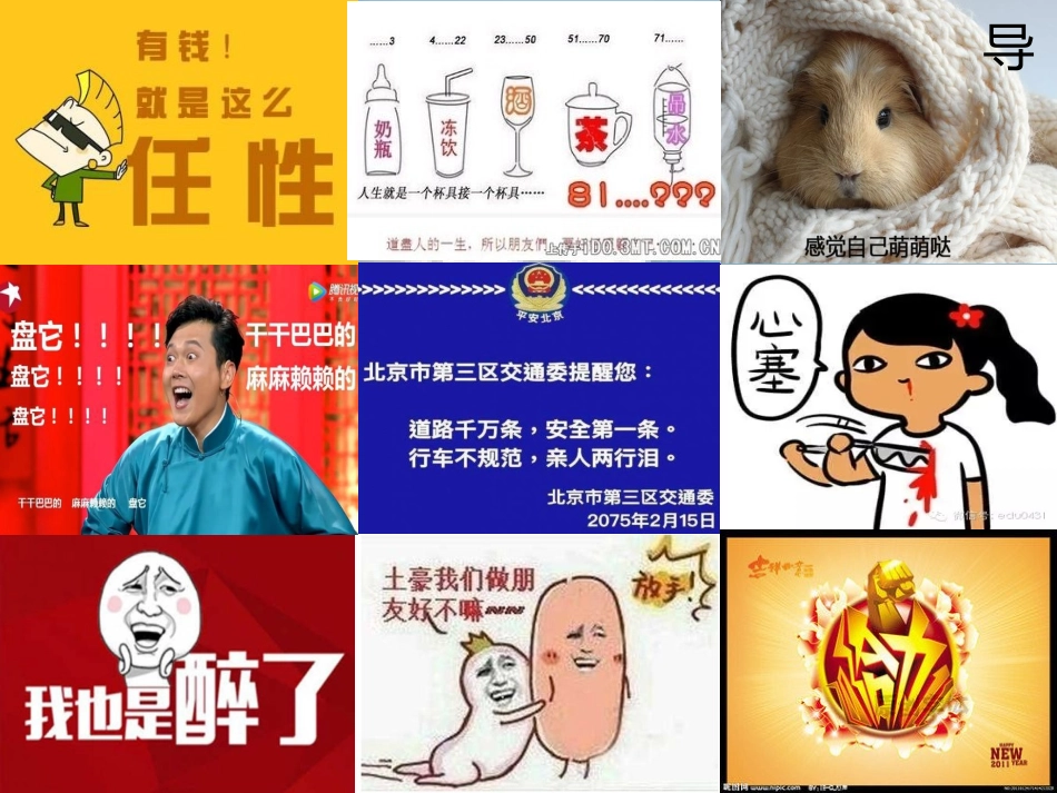 探究性学习——我看流行语_第1页