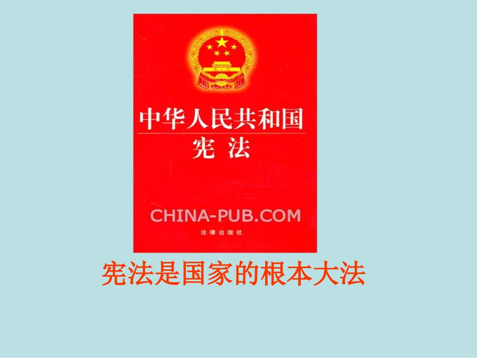 认识依法治国_第3页