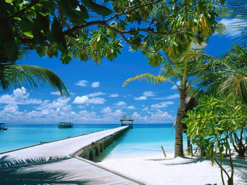 科学·技术·社会-温室效应增强和全球气候变暖_第2页