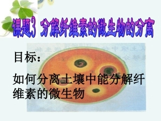 课题3-分解纤维素的微生物的分离-(3)