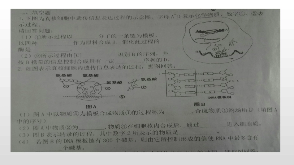 第三节基因与性状_第1页