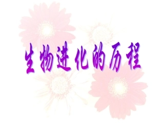 第2节生物进化的历程