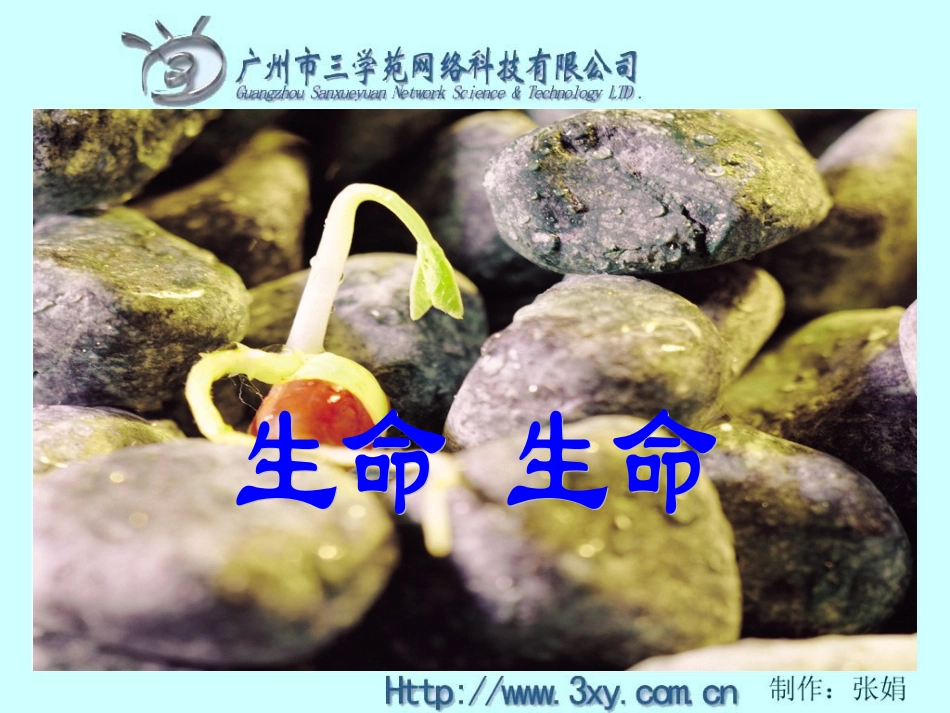 RJYW040219生命-生命_第2页