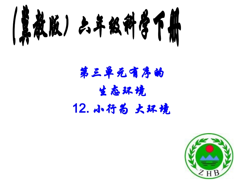 12小行为大环境_第1页